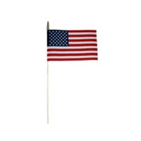 Sewn American Flag - Mounted