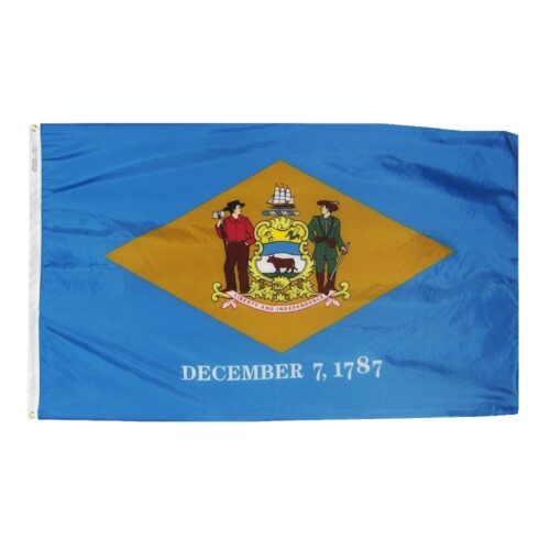 Delaware Flag Grommets Finish