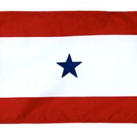 Blue Star Service Flag - Grommets