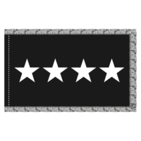 US Space Force 4 Star General Officer Flag - Fringe
