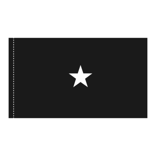 US Space Force 1 Star General Officer Flag - Pole Hem