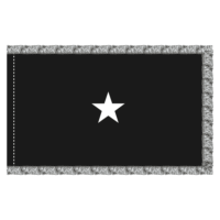 US Space Force 1 Star General Officer Flag - Fringe