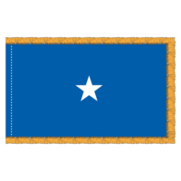 USAF 1 Star General Officer Flag - Fringe