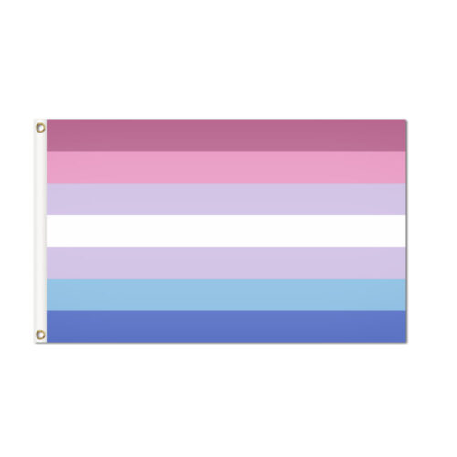 Bi Gender Pride Flag Grommets Finish
