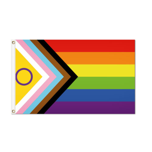 Intersex-Inclusive Progress Pride Flag Grommets Finish
